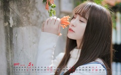 漫画大全之无彩翼漫免费